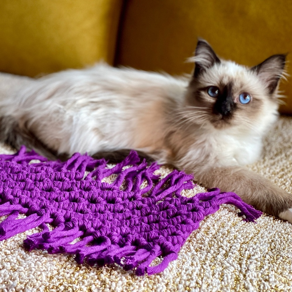 Handmade Macramé Mini Rug - Picture 4 of 4